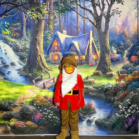 Kids Red and Brown Gnome Costume - Picture 1 of 4